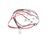 78501 Structural Concepts alternate view 4
