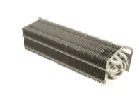 800240 TRUE alternate view 2