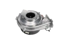 808000020 Rinnai alternate view 4