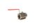 8102126 Frymaster alternate view 2