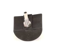 81297 Blakeslee alternate view 4