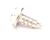 81546-00 Apw Wyott alternate view 3