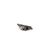 84353001 Cornelius alternate view 3