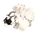 94-260-05 Lancer alternate view 2