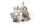 C10-1193 Stero Dishwasher alternate view 1