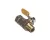 CHA100123 Champion - Moyer Diebel alternate view 5