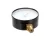 CHA100135 Champion - Moyer Diebel alternate view 5