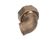 CHA106716 Champion - Moyer Diebel alternate view 2