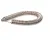 CHA108066 Champion - Moyer Diebel alternate view 2