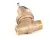 CHA108265 Champion - Moyer Diebel alternate view 5