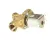 CHA111714 Champion - Moyer Diebel alternate view 3