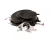 COV2625201 Convotherm alternate view 6