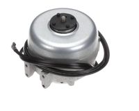 ELMTR1703 Randell alternate view 2