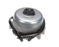 ELMTR1703 Randell alternate view 5