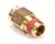 FK105575 Cleveland alternate view 1