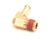 FK111289 Cleveland alternate view 4