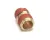 FK14304 Cleveland alternate view 4