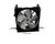 FRASS0101P Randell alternate view 5