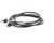 H-CORD Lockwood alternate view 1