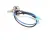 HB-120259 Star alternate view 2