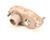 IC129515240 Carpigiani alternate view 1