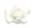 IC173139040 Carpigiani alternate view 2