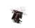 ICO620047891 Cornelius alternate view 1