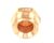 INJ165 Rotisol alternate view 4