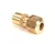 M0959 Blodgett alternate view 2