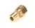 M0959 Blodgett alternate view 5