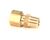 M0959 Blodgett alternate view 3