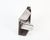 M2-PD2043 Star alternate view 4