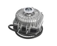 NPL22752500021 Norpole alternate view 2