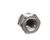 PP10668 Pitco alternate view 4