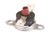R1480 Blodgett alternate view 5