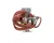 R9598 Blodgett alternate view 6