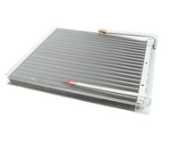 RF COI9902 Randell alternate view 5