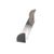 RP DCT1501 Randell alternate view 2