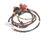 SH3370073340 Schaerer alternate view 2