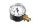 SK-1433 Insinger alternate view 5