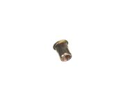 SP 6505-NUT Xlt Ovens alternate view 2